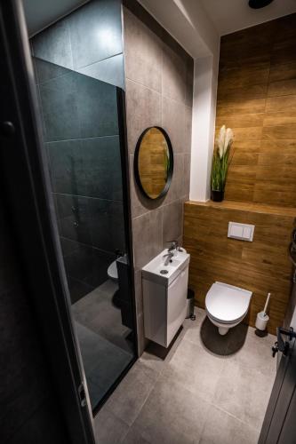 a bathroom with a toilet and a sink and a mirror at Comfort Hostel Klaipeda in Klaipėda