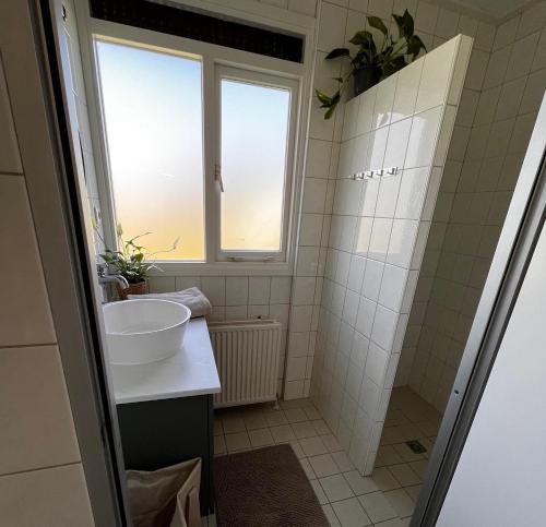 baño con lavabo y ventana en Fijne plek met eigen bos 2000m2 en GRATIS linnen en handdoeken!! en Denekamp