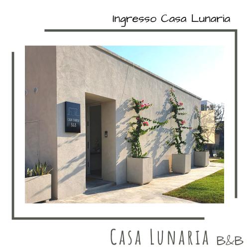 Casa Lunaria B&B – Photos 5
