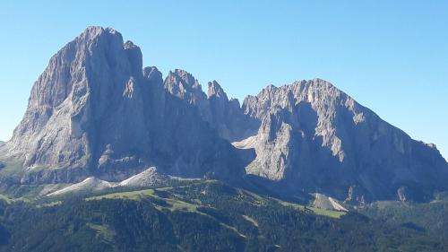 a large mountain range with trees in front of it at Villa Sella in Selva di Val Gardena