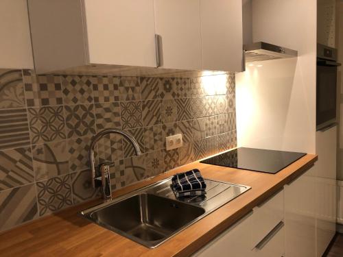 uma cozinha com um lavatório e uma bancada em Residence De Kaaipoort appartementen em Aardenburg