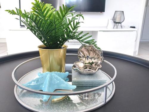 Mirela modern apartment near the beach, Novalja