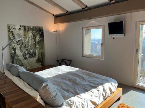 a bedroom with a large bed with a tv on the wall at Residenza la beccata in Pinerolo