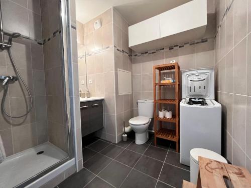 La salle de bains est pourvue d'une douche, de toilettes et d'un lavabo. dans l'établissement Studio Cosy et son Emplacement Idéal, à Montévrain