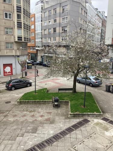 a park with a tree in the middle of a city at Saudade Hostal Cafetería in A Coruña