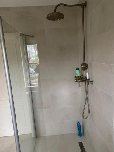 a shower stall in a bathroom with a window at B&B Logeren bij van Heeren in Made