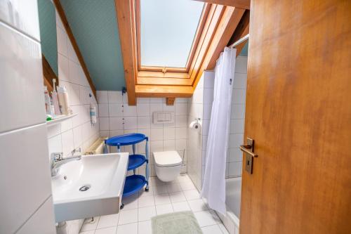 La salle de bains est pourvue d'un lavabo, de toilettes et d'une fenêtre. dans l'établissement Exklusives Josenhaus mit See- und Alpenblick & Gartensauna, à Nonnenhorn