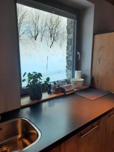 a kitchen counter with a window and a sink at Mountain See Lodge in See
