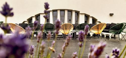 a group of chairs and purple flowers in a room at Hotel Oderberger in Berlin