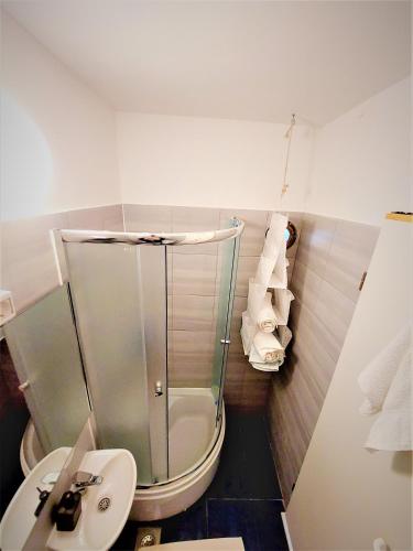 a bathroom with a shower and a toilet and a sink at Studio apartment Murter Center in Murter