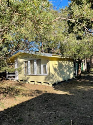 a small yellow house in the middle of trees at Energetikas • nameliai prie jūros in Šventoji