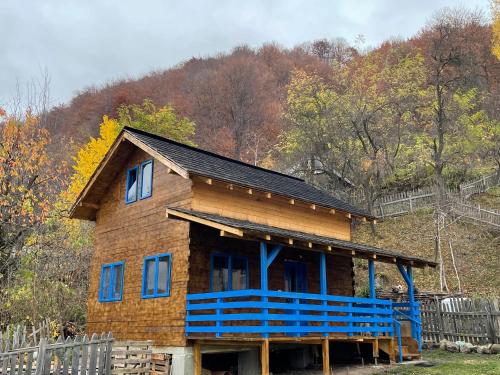 een houten huis met een blauwe veranda op een heuvel bij Casa Brună in Băile Olăneşti