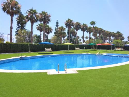 a large swimming pool with palm trees and umbrellas at ACV - Vistamar III-1ª línea planta 2 Frontal in Oropesa del Mar