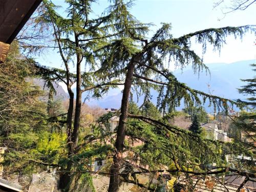 Φυσικό τοπίο κοντά σε αυτή η παραθεριστική κατοικία