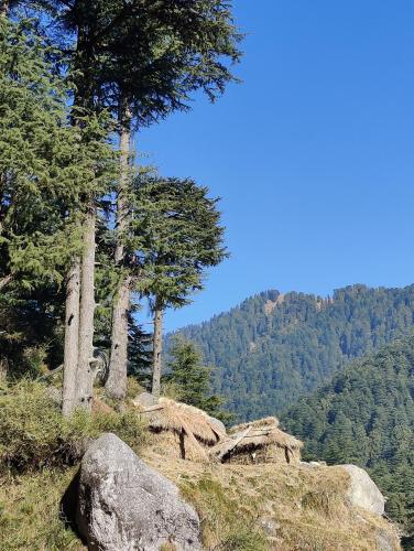Gambar di galeri bagi Barei Jungle Lodge di Chamba