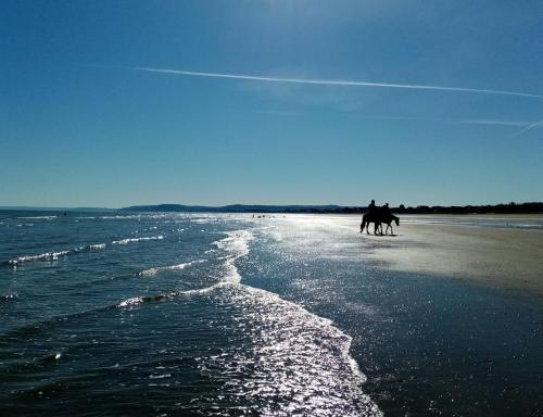 Plage de le B&B/chambre d'hôtes ou située à proximité