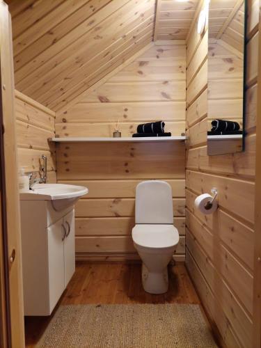 a bathroom with a toilet and a sink at Kantokelo B2 in Ylläsjärvi