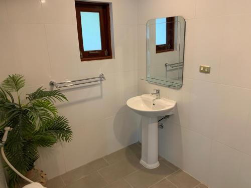 a bathroom with a sink and a mirror and a plant at Tropical Villa 1 in Lamai