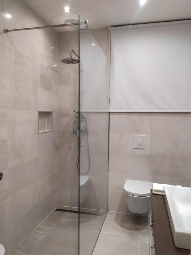 a bathroom with a shower and a toilet and a sink at Apartman Diana in Labin