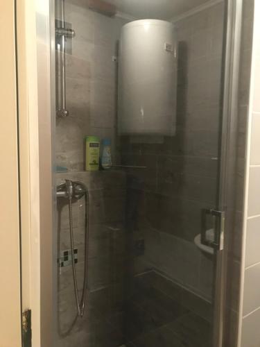 a shower with a glass door in a bathroom at Apartmany Lend in Lend