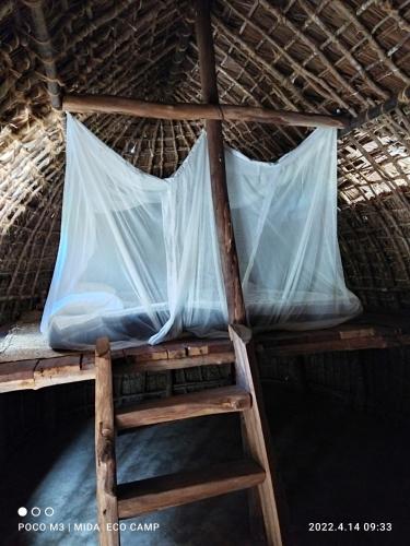 Φωτογραφία από το άλμπουμ του Mida Creek Eco Camp σε Watamu
