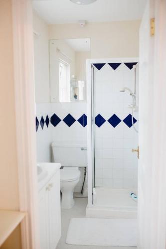 a white bathroom with a toilet and a shower at Portora House in Silverhill