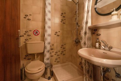 La petite salle de bains est pourvue de toilettes et d'un lavabo. dans l'établissement Calliope Rooms 1, à Kíssamos