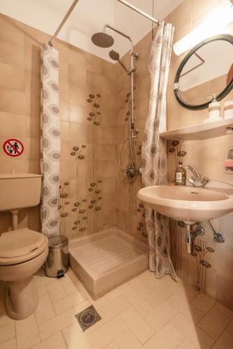 uma casa de banho com um chuveiro, um lavatório e um WC. em Calliope Rooms 1 em Kissamos