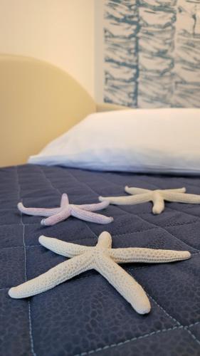 a group of three starfish on a bed at Hotel Adigrat in Riccione
