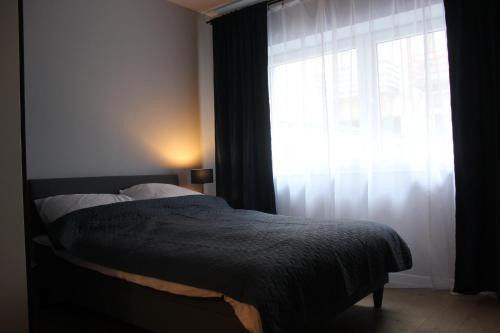 sypialnia z łóżkiem i oknem w obiekcie Apartamenty Przy Deptaku w Radomiu w Radomiu