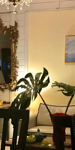 a plant sitting on a table next to a couch at Pousada das Gêmeas in Ilha do Mel