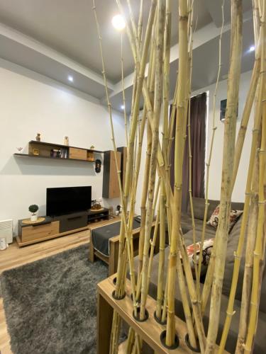 a living room with a tree in the middle at Apartment Neno 2 in Trebinje