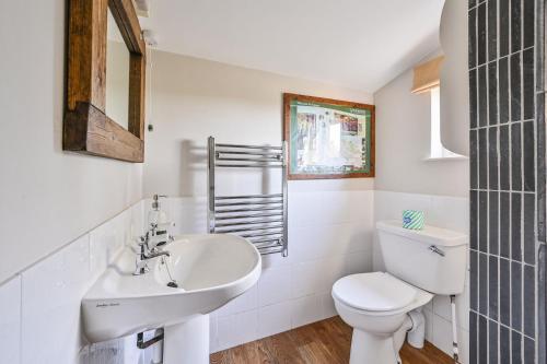 a white bathroom with a toilet and a sink at The Bothy - a cosy little rustic barn in Parracombe