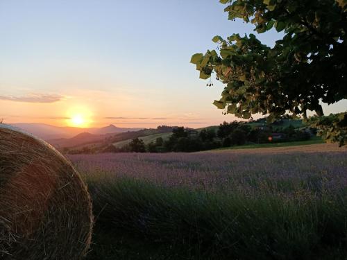 Lever ou coucher de soleil vu de la ferme ou à proximité