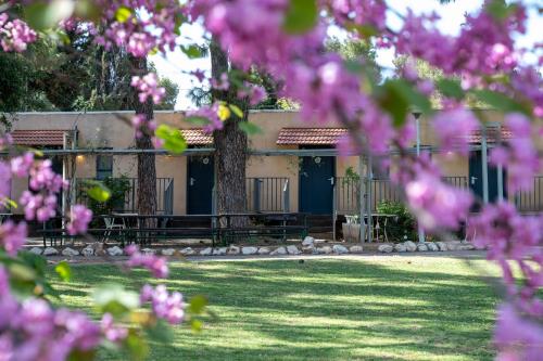 a house with pink flowers in front of it at Kibbutz Malkiya Travel Hotel in Malkiyya