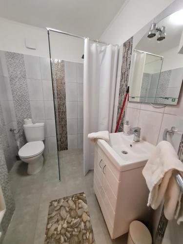 a bathroom with a sink and a toilet and a shower at Tatabánya Újvárosi lakás in Tatabánya