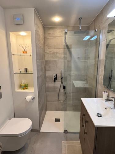 une salle de bain avec une douche, des toilettes et un lavabo dans l'établissement Lovely Studio Cannes, à Cannes