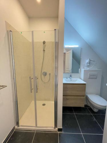 a bathroom with a shower with a toilet and a sink at Maison des fleurs in Saint-Aignan