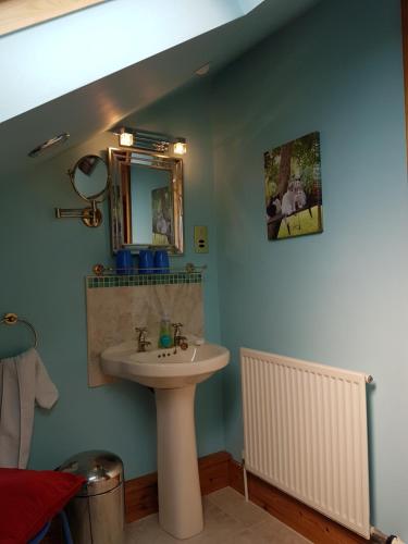 een badkamer met een wastafel en een spiegel bij Norwegian Wood in Paignton