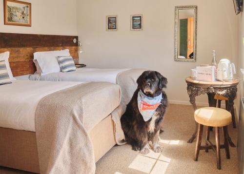 Gallery image of The Old Ferry Inn in Fowey