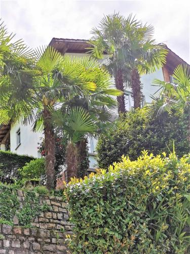 a white house with palm trees and bushes at Casa le palme -Montagnola in Collina d'Oro