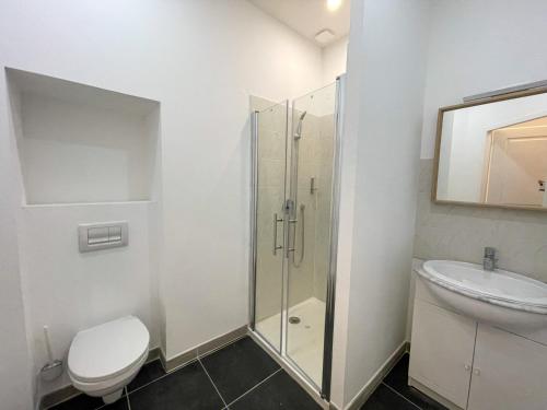 a bathroom with a shower and a toilet and a sink at Maison des fleurs in Saint-Aignan