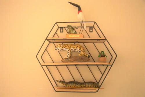 a shelf with a toy giraffe and other items on it at CASA COM SPA DE HIDRO, AQUECEDOR E CROMOTERAPIA A 1,0 kM DO CENTRO in Chapada dos Guimarães