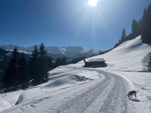 a dog walking down a snow covered road at Boutique Appartments Gerlosperle in Gerlos