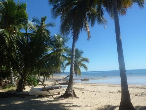 a beach with palm trees and a boat on it at Le Grand Bleu in Andilana