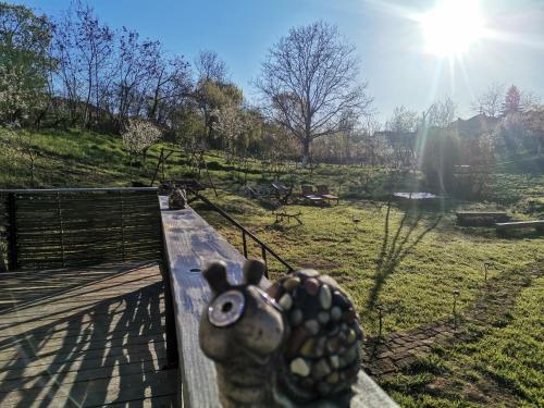 Zahrada ubytování Cabana Samira Tășnad