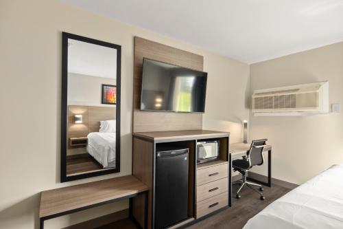 The Elmwood – Photos 3