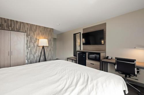 The Elmwood – Photos 4