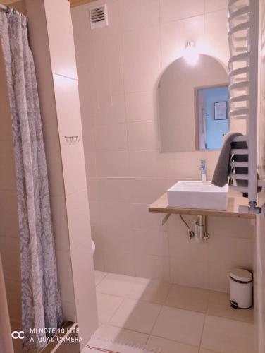 a bathroom with a sink and a mirror at Podkowa in Myślenice