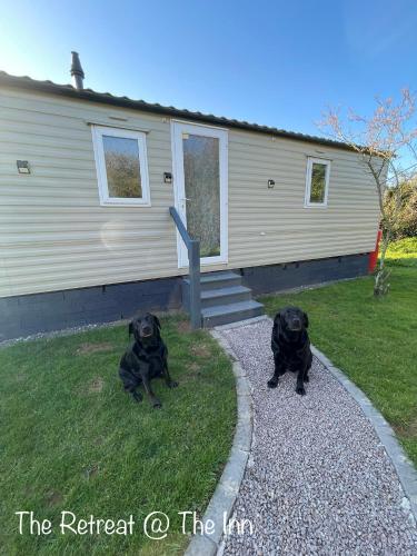 two black dogs sitting in front of a house at The Old Inn Retreat in Spilsby